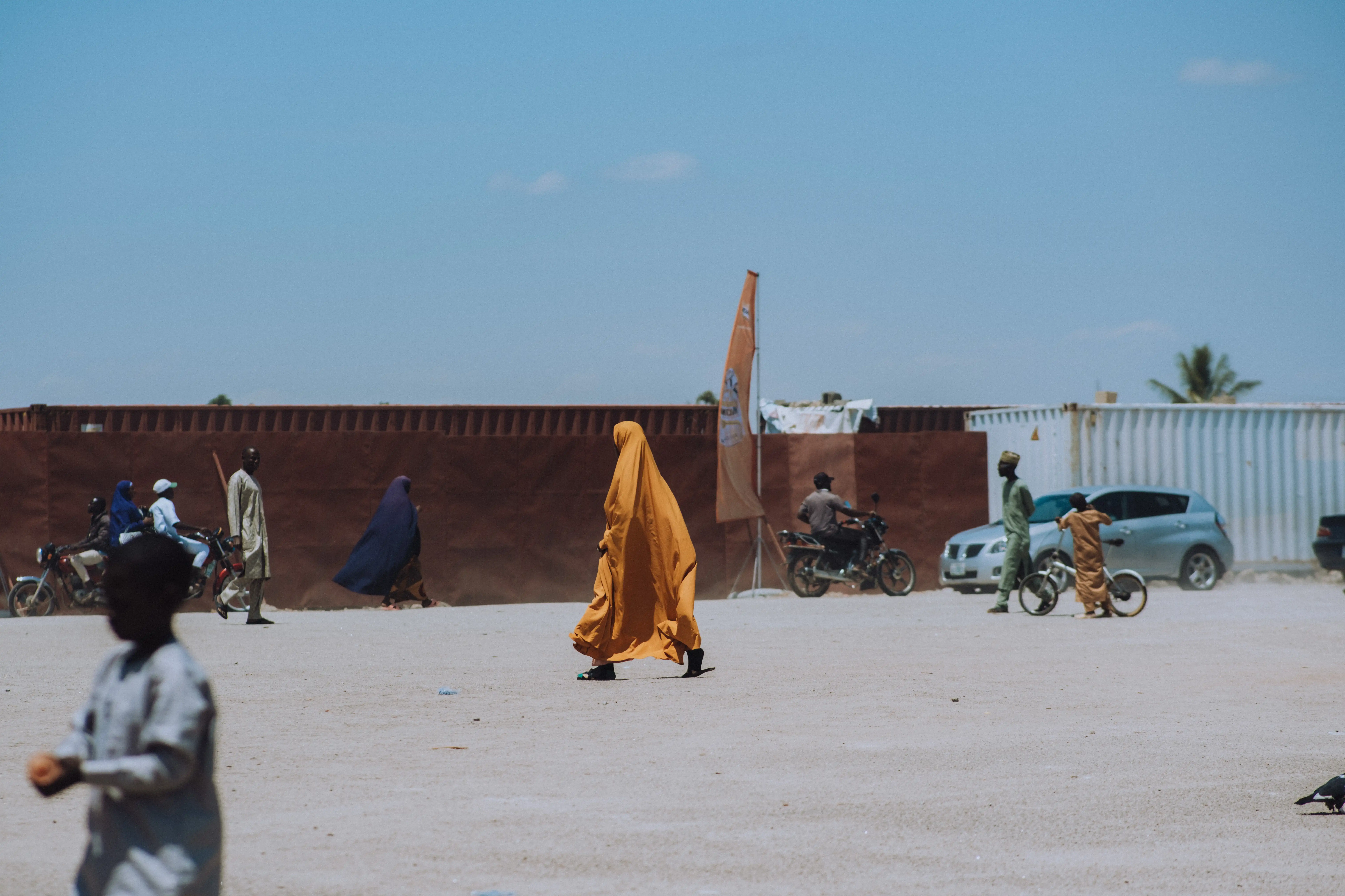 Close-up of a decorated Durbar horse
