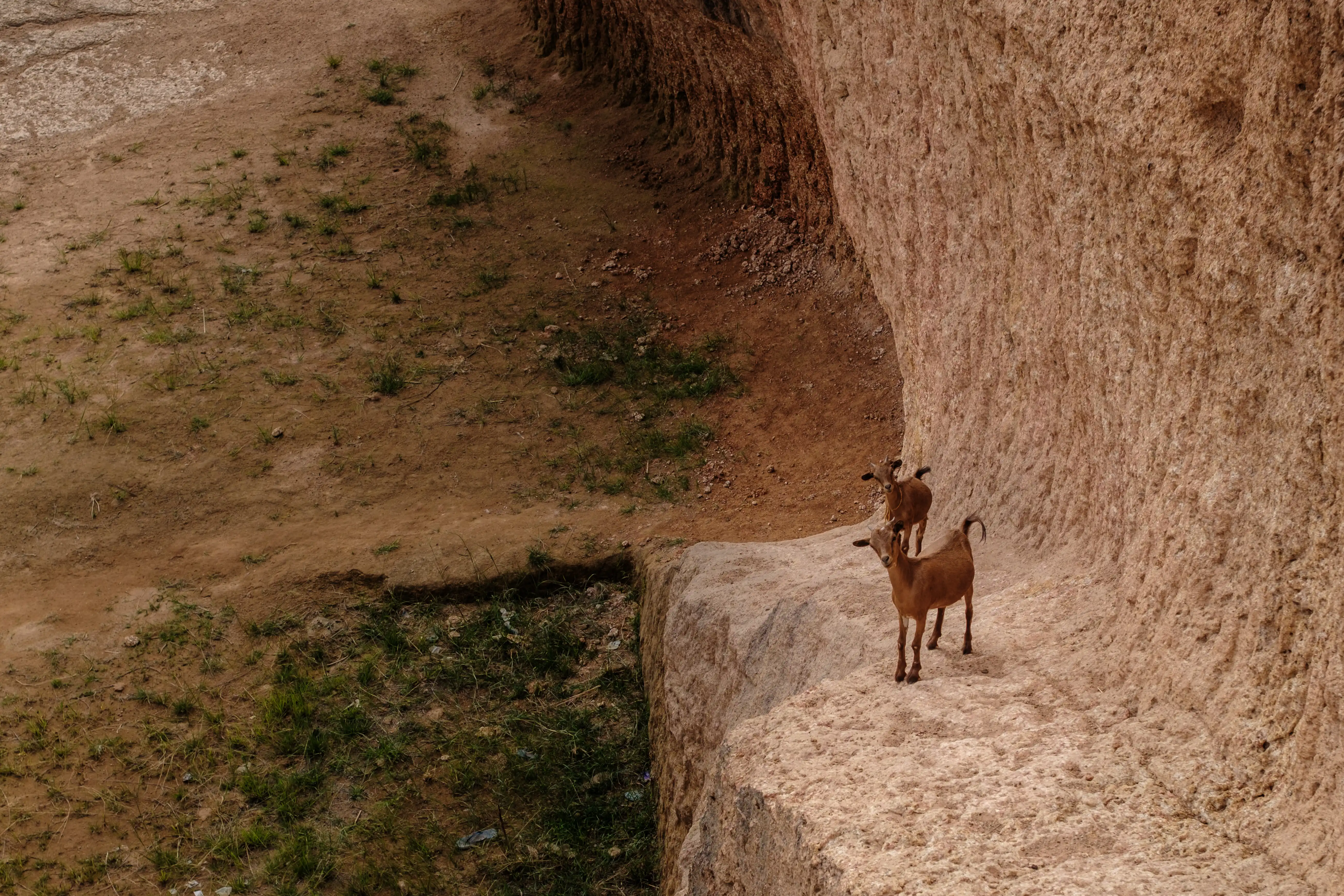 Hands kneading clay bricks inside the Kano mud pit
